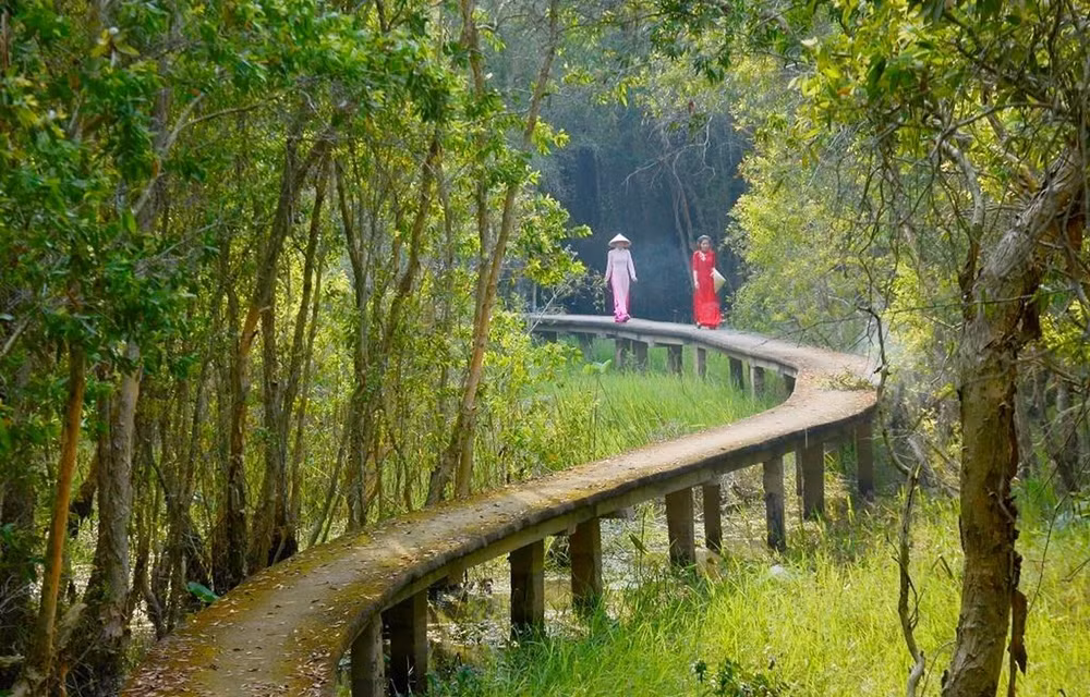 Vietnam trabaja por conservar los ecosistemas del Delta del río Mekong ảnh 3