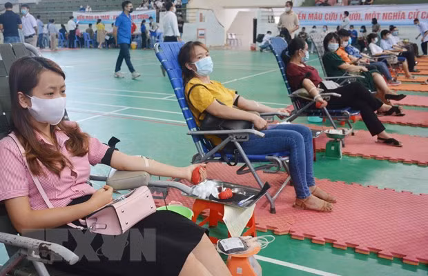 Programa humanitario busca recolectar 100 mil unidades de sangre en Vietnam ảnh 1