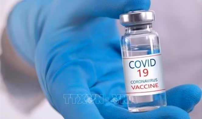 Recibirá Vietnam este año más de 120 millones de dosis de vacuna contra el COVID-19 ảnh 1