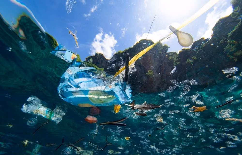 Trabaja Vietnam por reducir residuos plásticos en océano ảnh 1 Trabaja Vietnam por reducir residuos plásticos en océano ảnh 1