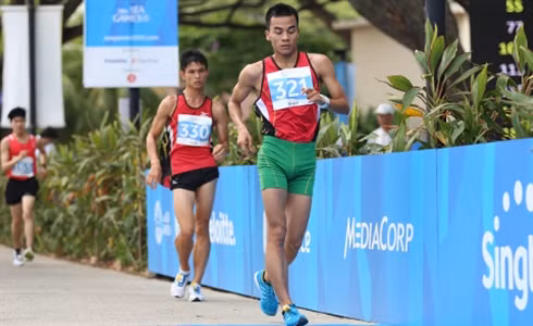 Atleta vietnamita clasificado para los Juegos Olímpicos Rio 2016 ảnh 1 Atleta vietnamita clasificado para los Juegos Olímpicos Rio 2016 ảnh 1