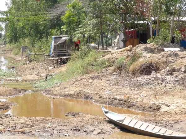 Legisladores sugieren medidas para aliviar efectos de sequía y salinización ảnh 1 Legisladores sugieren medidas para aliviar efectos de sequía y salinización ảnh 1