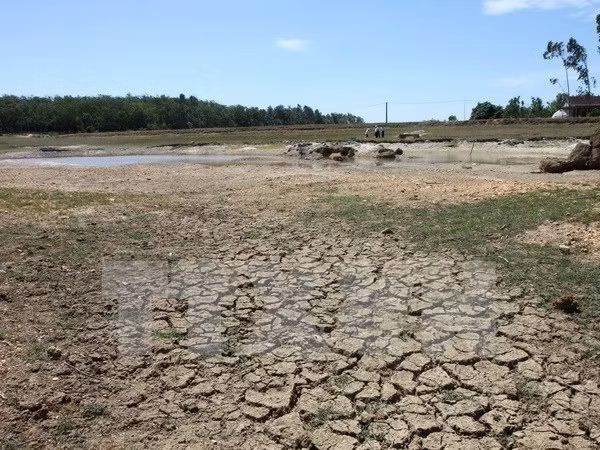 Delta del Mekong enfrenta graves impactos del cambio climático ảnh 1