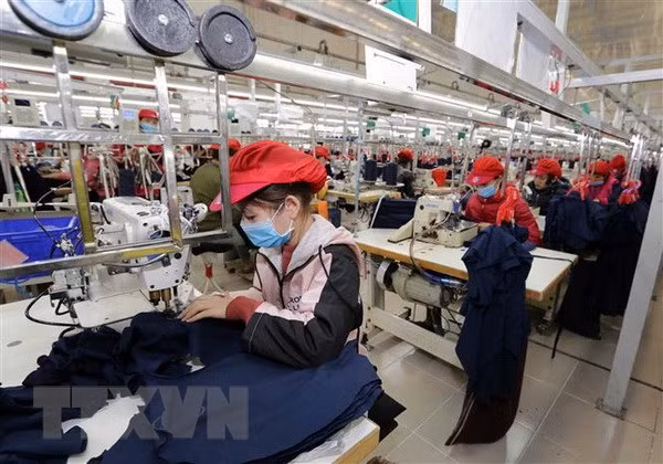 Vietnam cambia formas de promoción comercial para adaptarse a COVID-19 ảnh 1