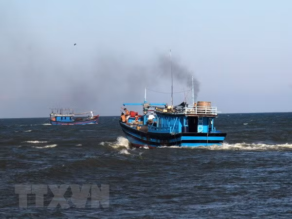 Pescadores vietnamitas dicen “No” a la pesca ilegal ảnh 1