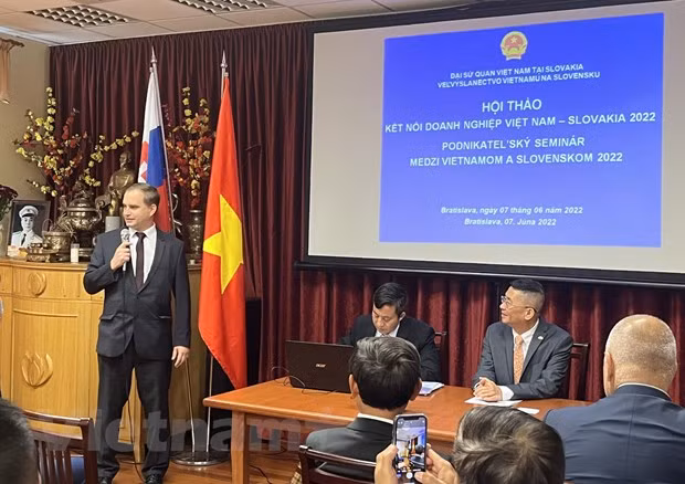 Fortalecen conexión comercial entre Vietnam y Eslovaquia ảnh 1