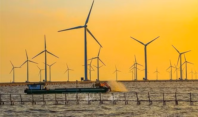 Vietnam desarrolla energía eólica marina ảnh 1