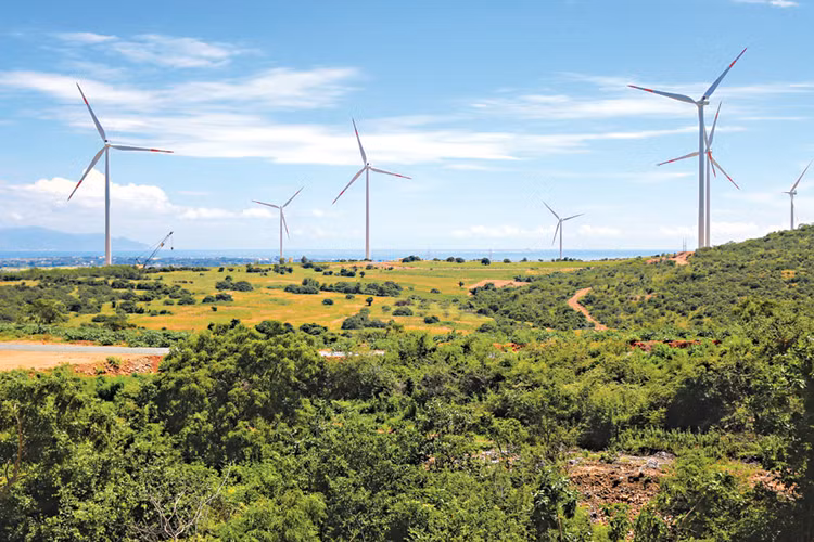 Vietnam, “destino verde” de inversionistas de Bélgica ảnh 1 Vietnam, “destino verde” de inversionistas de Bélgica ảnh 1