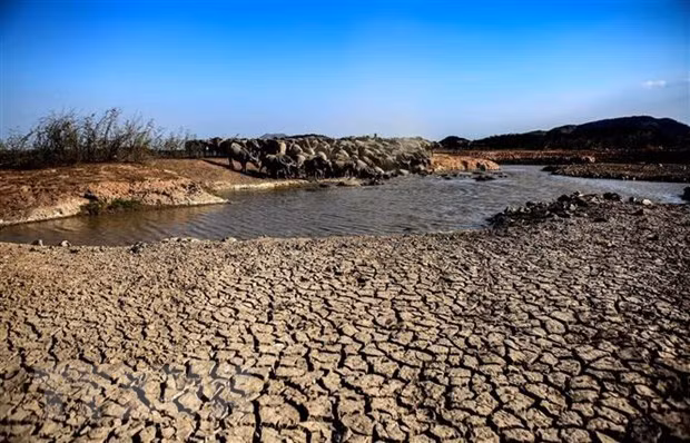 Vietnam por luchar contra la desertificación y la sequía ảnh 1 Vietnam por luchar contra la desertificación y la sequía ảnh 1