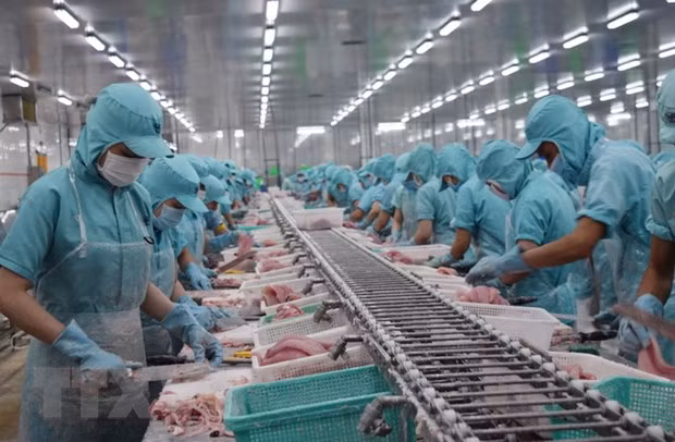 Buscan aumentar exportaciones de productos alimentarios de Vietnam a África ảnh 1
