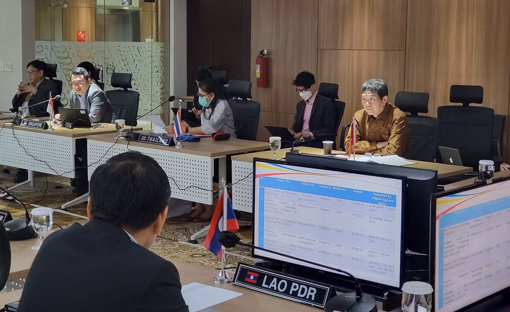 Viet Nam participa en reunión del Grupo de Trabajo para Iniciativa de Integración de ASEAN ảnh 1
