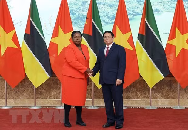 Vietnam otorga gran importancia a promover lazos con Mozambique ảnh 1