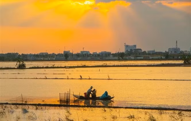 Despliegan proyecto de gestión de recursos naturales en Delta del Mekong ảnh 1 Despliegan proyecto de gestión de recursos naturales en Delta del Mekong ảnh 1