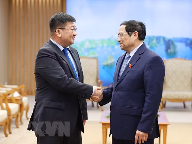 Primer ministro de Vietnam recibe a embajadores de Egipto y Mongolia ảnh 2