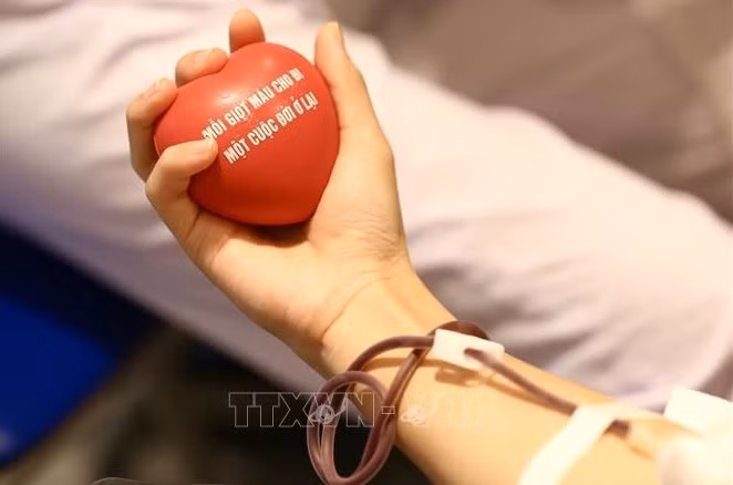 Vietnam celebrará en agosto evento para honrar a 100 donantes destacados de sangre ảnh 1