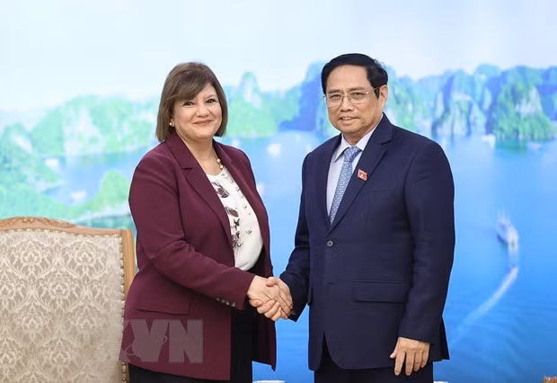 Primer ministro de Vietnam recibe a embajadores de Egipto y Mongolia ảnh 1