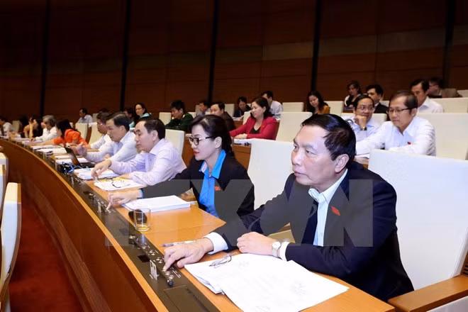 Autentifica Asamblea Nacional de Vietnam Ley de Referéndum ảnh 1