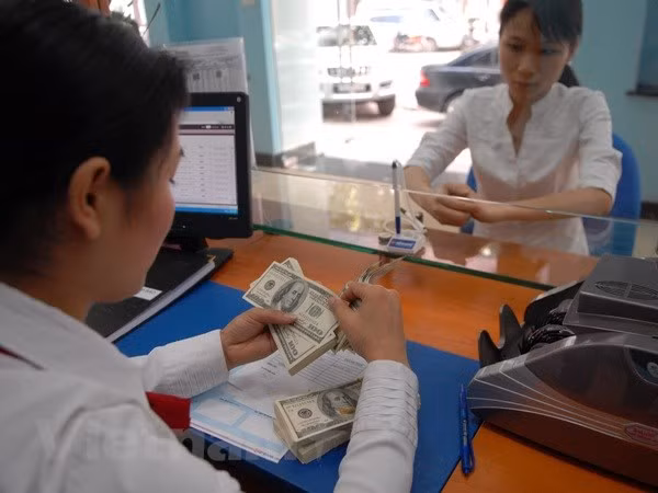 Pronostican recuperación de economía de Vietnam en segunda mitad de 2023 ảnh 3