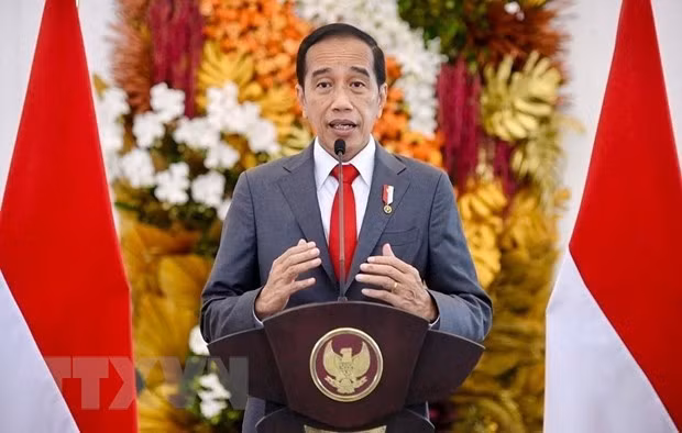 Presidente de Indonesia asistirá a Cumbre Especial ASEAN-EE.UU. ảnh 1