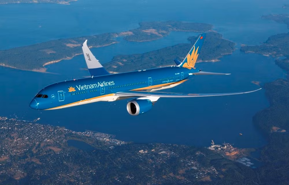 Transporte de carga aérea de Vietnam se incrementa a pesar de la pandemia ảnh 1