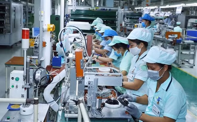 Estimulan en Vietnam las iniciativas de empresas y científicos jóvenes ảnh 1