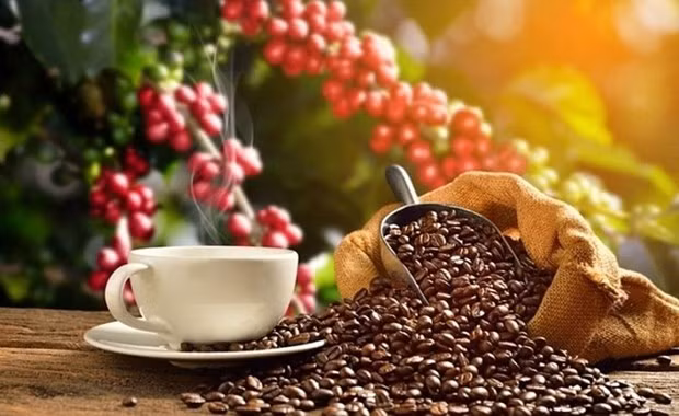 Revista internacional clasifica al café vietnamita en el top de los mejores cafés del mundo ảnh 1