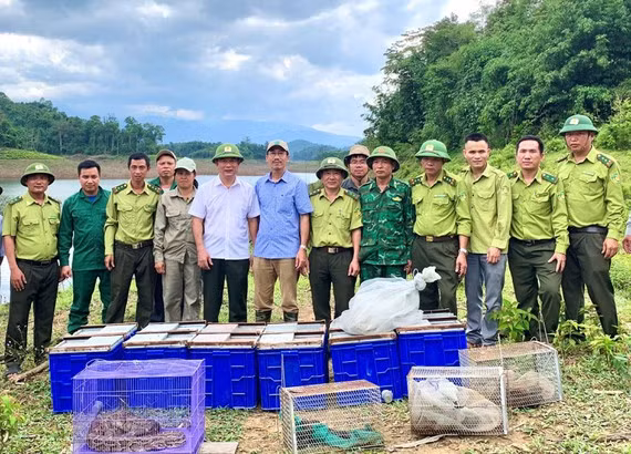 Liberan al hábitat natural 56 ejemplares de animales salvajes raros en Vietnam ảnh 1