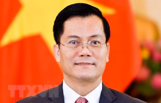 Designan a nuevo presidente del Comité Nacional de UNESCO de Vietnam ảnh 1