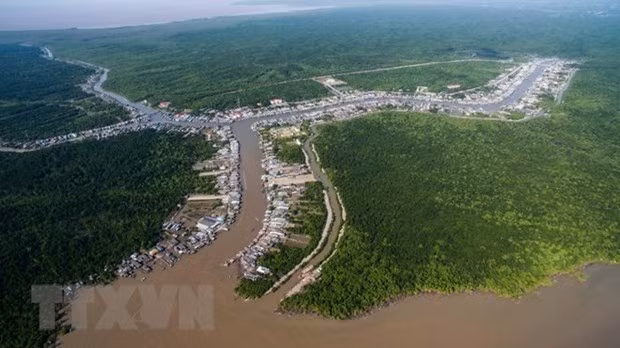 Ca Mau aspira convertir turismo en un sector económico clave ảnh 1 Ca Mau aspira convertir turismo en un sector económico clave ảnh 1