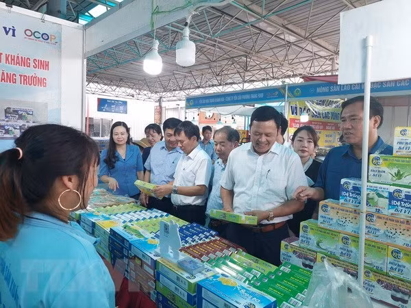 Hanoi lanza semana de promoción de OCOP y productos agrícolas ảnh 1