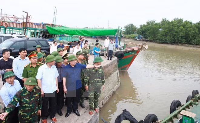 Vicepremier inspecciona labores preventivas para enfrentar tifón Sarika en Hai Phong ảnh 1