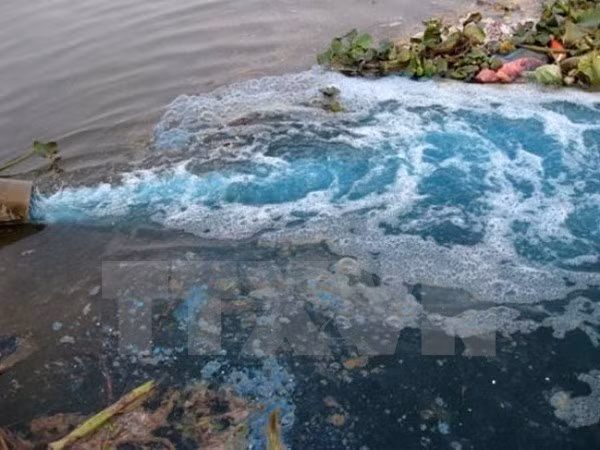 Ciudad Ho Chi Minh aspira a aprender experiencias de Japón en protección ambiental ảnh 1