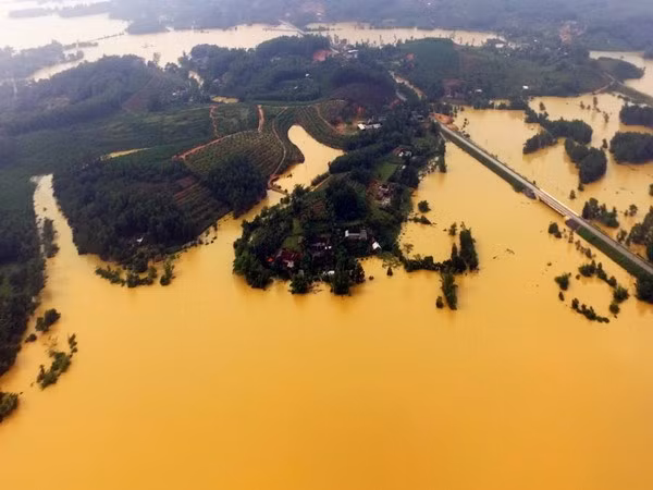 Se preparan localidades de Vietnam ante amenaza de tifón Sarika ảnh 1