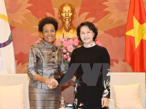 Vietnam desempeña papel activo y constructivo en comunidad francófona ảnh 1