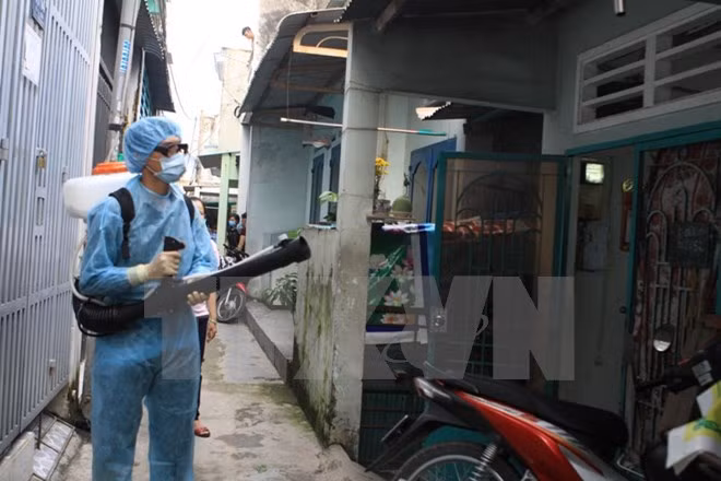Confirman dos nuevos casos de Zika en Ciudad Ho Chi Minh ảnh 1