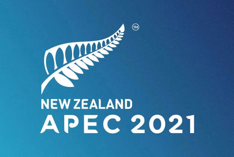 APEC 2021: Malasia exhorta a cooperación hacia recuperación económica integral y estable ảnh 1