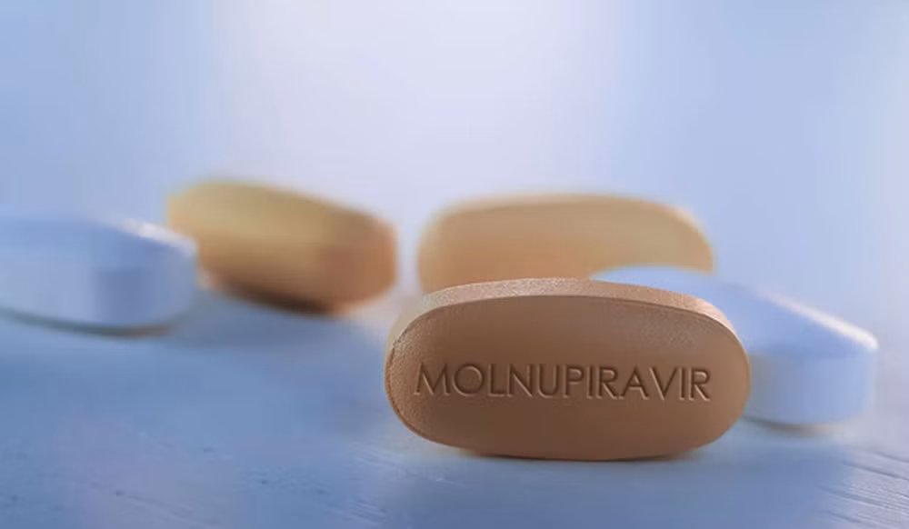 Empresas vietnamitas producen medicamento Molnupiravir contra el COVID-19 ảnh 1