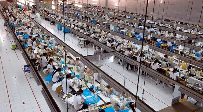Cooperación comercial, fuerza impulsora de los nexos entre Vietnam y EE. UU. ảnh 1