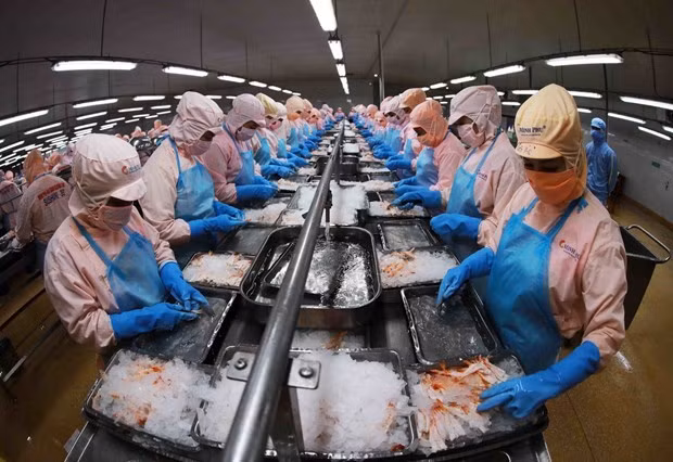 Vietnam persiste en el esfuerzo conjunto del Sudeste Asiático para restaurar producción ảnh 1