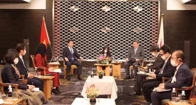 Vietnam se erige en socio principal de Japón en Asia ảnh 1