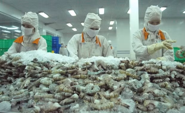 Comercio exterior de productos agroforestales y pesqueros de Vietnam aumenta 24,2 por ciento ảnh 1 Comercio exterior de productos agroforestales y pesqueros de Vietnam aumenta 24,2 por ciento ảnh 1
