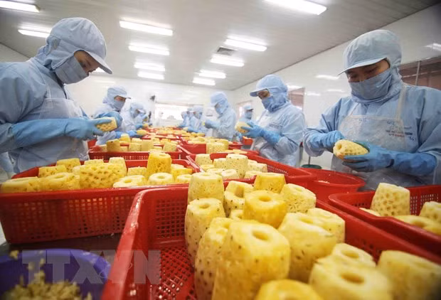Buscan promover exportaciones agrícolas y pesqueras vietnamitas a Rusia y la Unión Económica Euroasiática ảnh 1 Buscan promover exportaciones agrícolas y pesqueras vietnamitas a Rusia y la Unión Económica Euroasiática ảnh 1