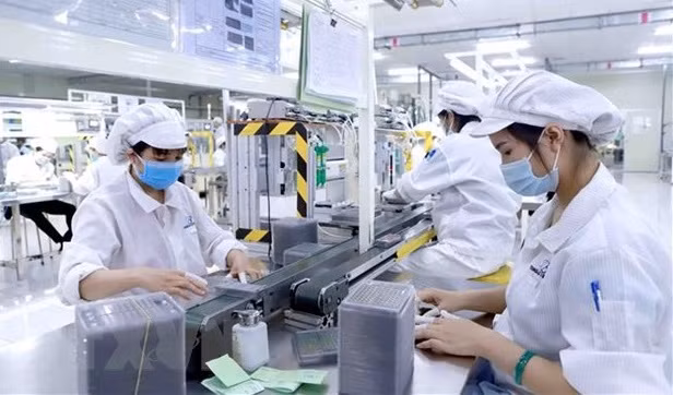 Firma internacional destaca atracción de Vietnam de inversión pese al COVID-19 ảnh 2