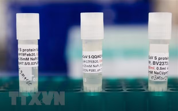 Indonesia aprueba la vacuna Novavax contra el COVID-19 ảnh 1