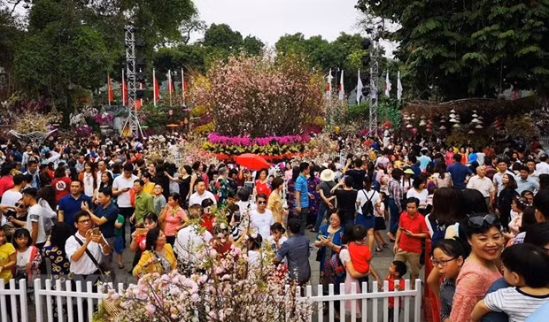 Incluirá un amplio programa artístico el V Festival de Sakura en Hanoi ảnh 1