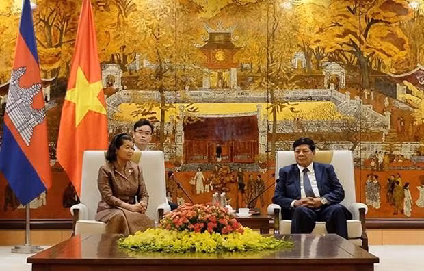 Intensifican Hanoi y Phnom Penh lazos en la supervisión ảnh 1