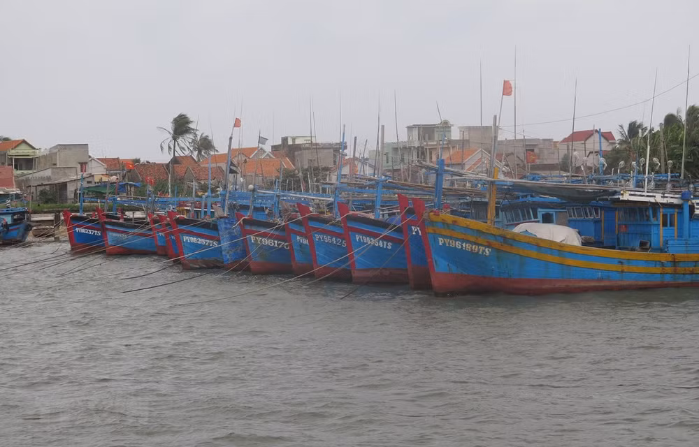 Enfrentarán provincias centrovietnamitas la quinta tormenta de la temporada ảnh 1