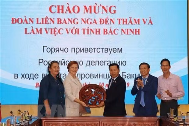 Impulsa provincia vietnamita cooperación con empresarios rusos ảnh 1 Impulsa provincia vietnamita cooperación con empresarios rusos ảnh 1