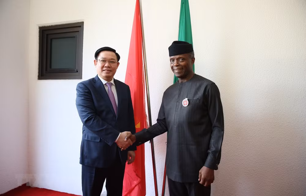 Desarrollo de Vietnam incentiva el progreso de Nigeria ảnh 1