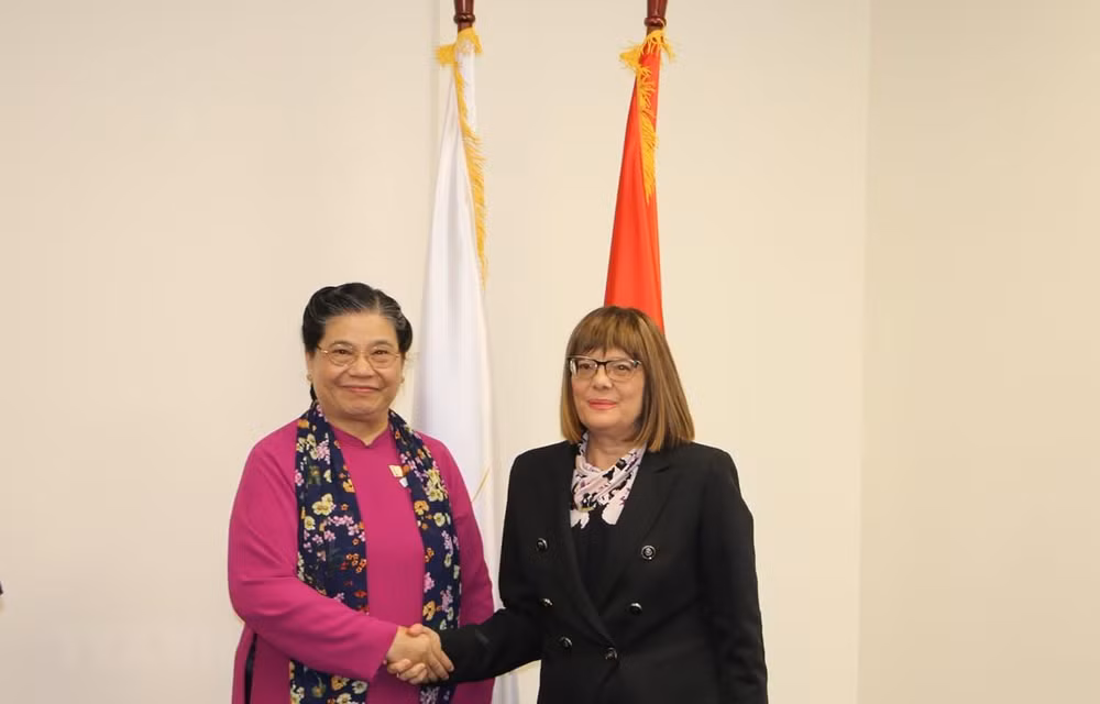 Concede Vietnam importancia a nexos tradicionales con Serbia ảnh 1